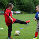 IMG_1623_jpg-1369228372