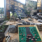 Tag8a_jpg-1369237995