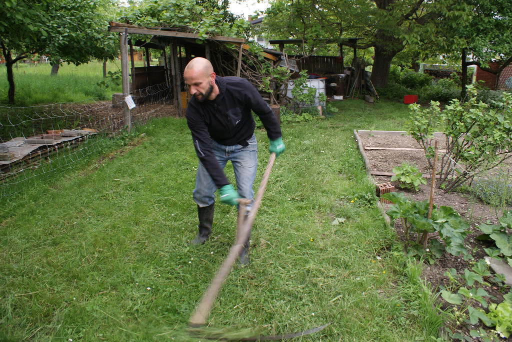 DSC09933_JPG-1369286264
