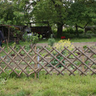 DSC09935_JPG-1369286389