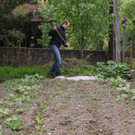 DSC09944_JPG-1369286961