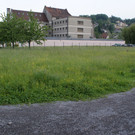 DSC09990_JPG-1369287294