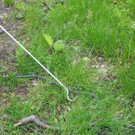 p42305Foto2.jpg