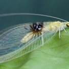 ABD0124-20130523.jpg