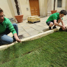 ABD0158-20130523.jpg