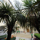 ABD0160-20130523.jpg