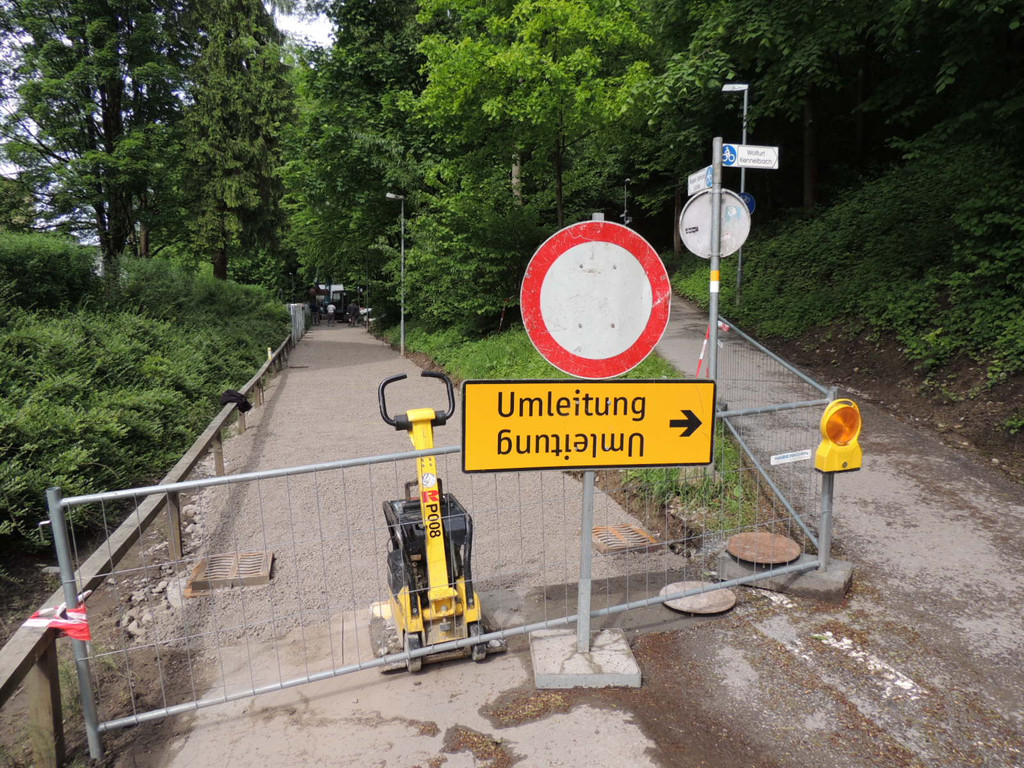 DSCN2144_JPG-1369345504