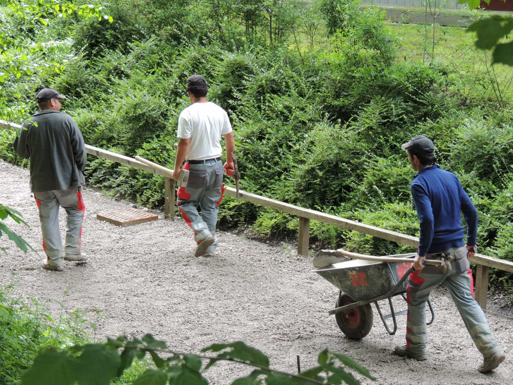 DSCN2152_JPG-1369345528