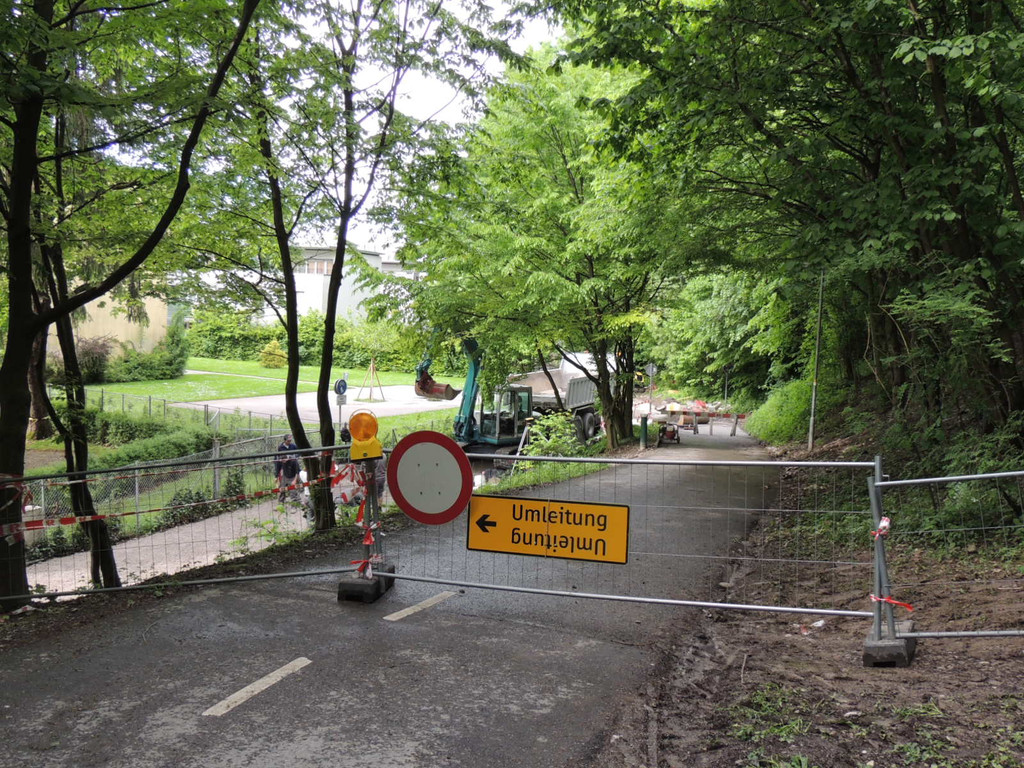 DSCN2146_JPG-1369345511