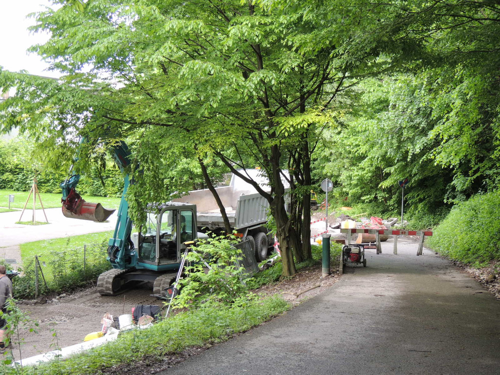 DSCN2147_JPG-1369345515