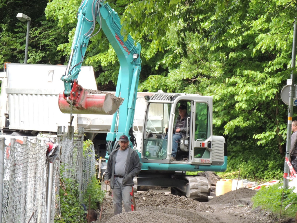 DSCN2165_JPG-1369345553