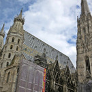 IMG_4463.jpg