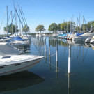 Hafen Lochau Symbolfotos _2__jpg-1369381212