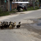 Die beeindruckendsten Tierbilder KW 21