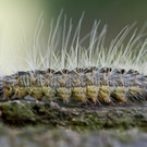 ABD0009-20130524.jpg