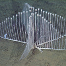 ABD0126-20130523.jpg