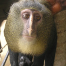 ABD0123-20130523.jpg