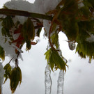 240513schneeat04001aktivnews098.JPG