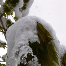 240513schneeat04001aktivnews091.JPG