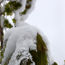 240513schneeat04001aktivnews086.JPG
