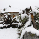 240513schneeat04001aktivnews006.JPG