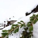 240513schneeat04001aktivnews026.JPG