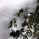 240513schneeat04001aktivnews031.JPG