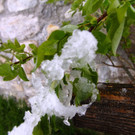 240513schneeat04001aktivnews038.JPG