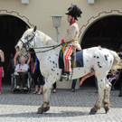 IMG_5706 _Large__jpg-1369462906