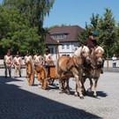P6267150_Gespann mit Kanone _Large__jpg-1369462972