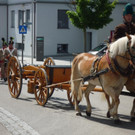 P1050994_Gespann mit Kanone _Large__jpg-1369464466