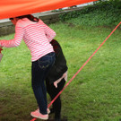 IMG_8876_JPG-1369488890