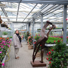 DSC_2359_jpg-1369496773