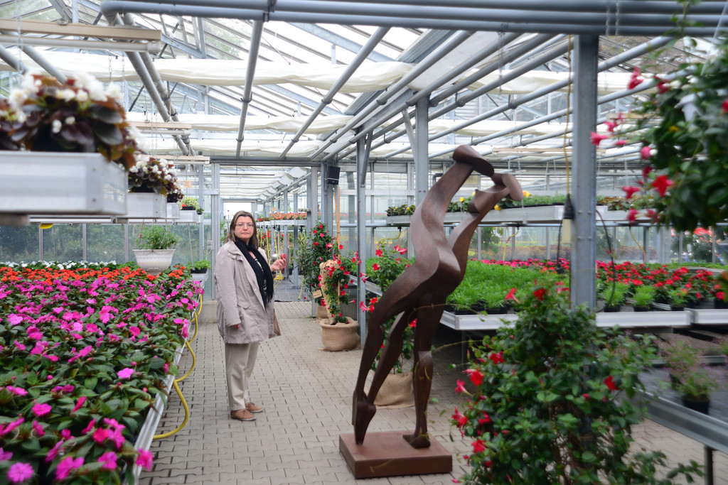 DSC_2359_jpg-1369496773