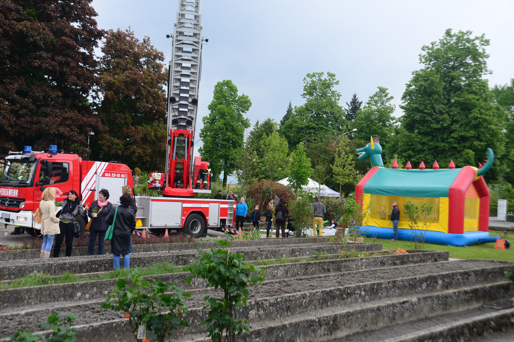 DSC_2362_jpg-1369496842