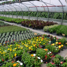 DSC_2352_jpg-1369496694