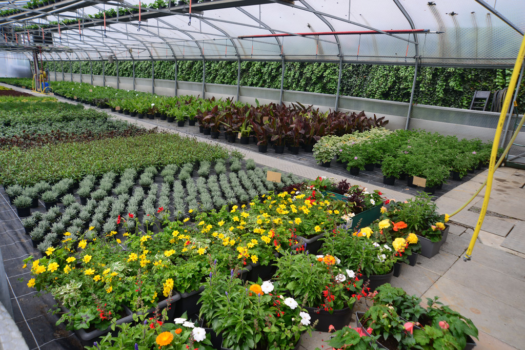 DSC_2352_jpg-1369496694