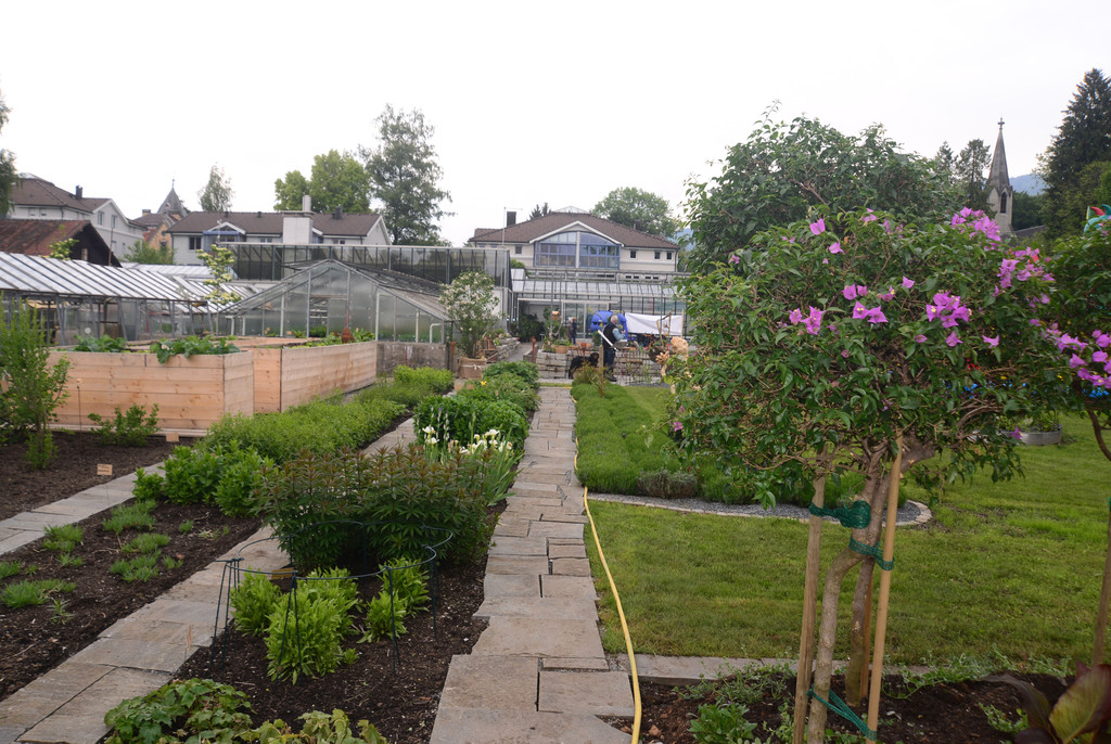 DSC_2393_jpg-1369497336