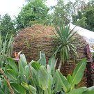 DSC_2408_jpg-1369497508