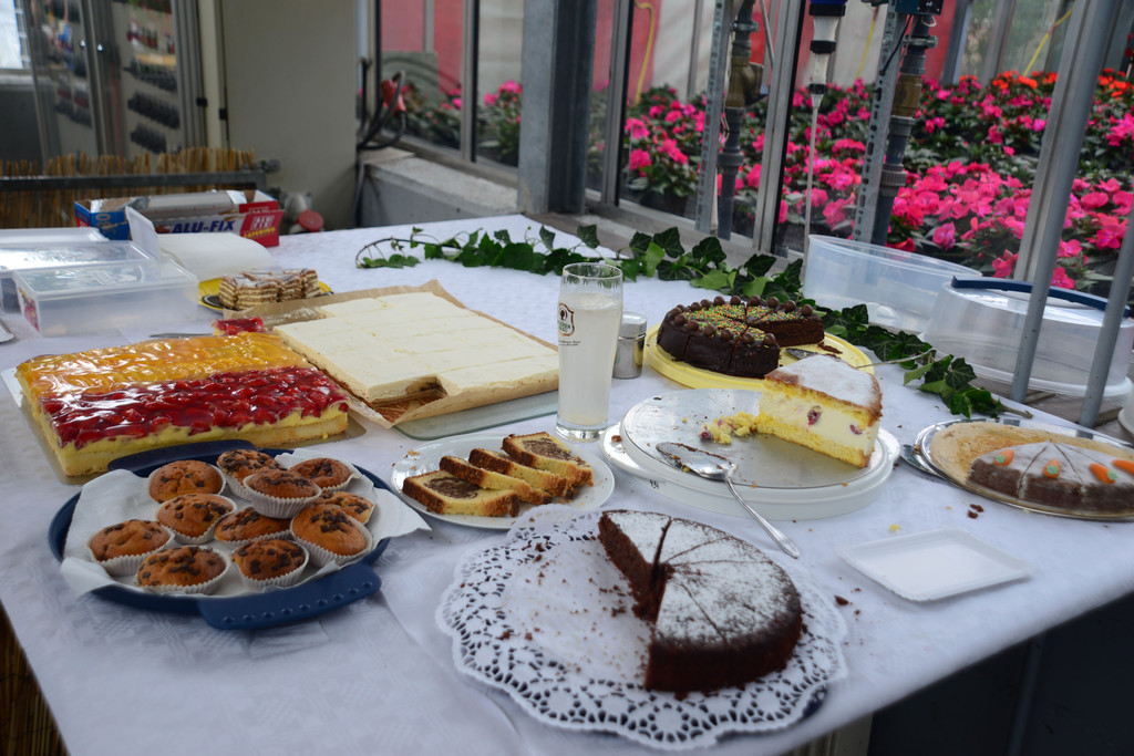 DSC_2360_jpg-1369496799