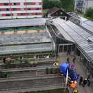 DSC_2364_jpg-1369496897