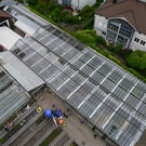 DSC_2372_jpg-1369496963