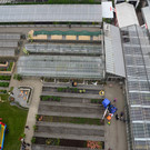 DSC_2374_jpg-1369497006