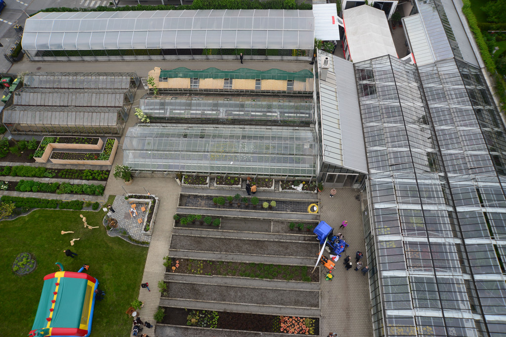 DSC_2374_jpg-1369497006