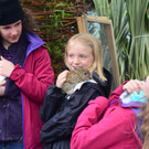 DSC_2397_jpg-1369497362