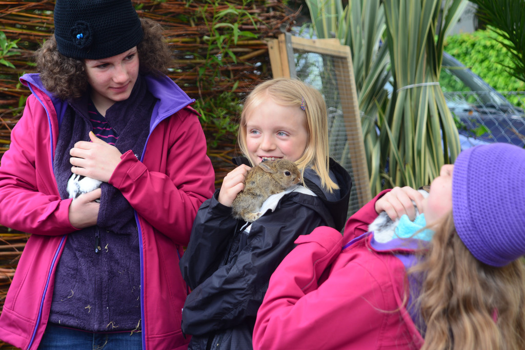 DSC_2397_jpg-1369497362