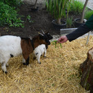 DSC_2402_jpg-1369497466