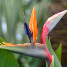 DSC_2410_jpg-1369497525