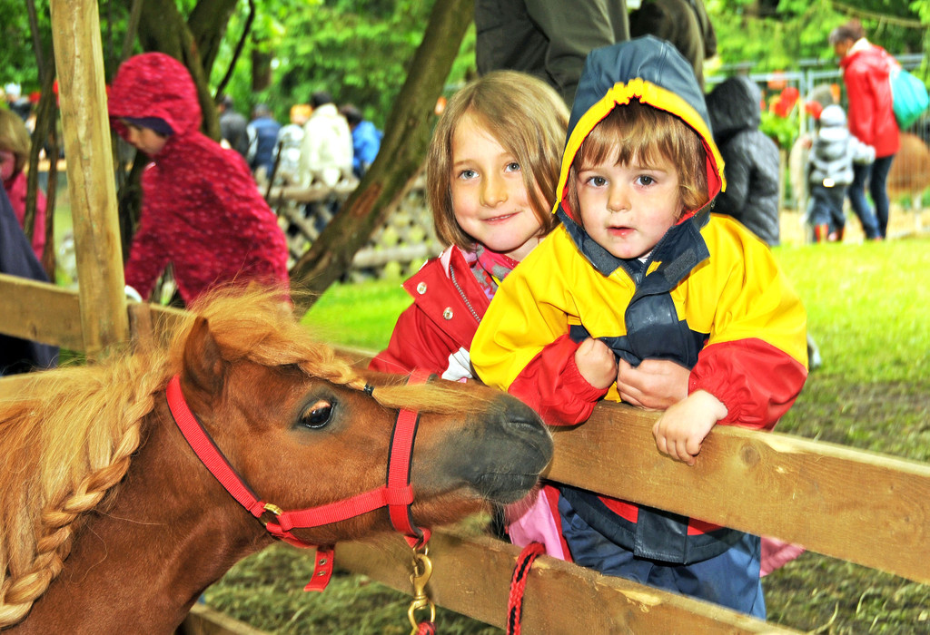 Tierfest H__chst 25-05-2013 110_jpg-1369507183