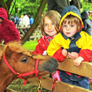 Tolle Tierausstellung au Luisls Farm